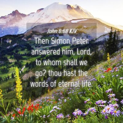 Picture 04 - John 6:68 KJV - Then Simon Peter answered him, Lord, to whom - Bible Verse Picture