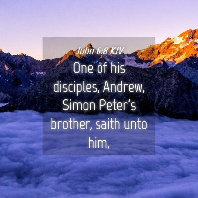 Picture 04 - John 6:8 KJV - One of his disciples, Andrew, Simon Peter's - Bible Verse Picture