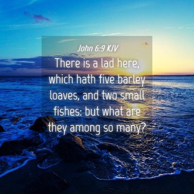 Picture 04 - John 6:9 KJV - There is a lad here, which hath five barley - Bible Verse Picture