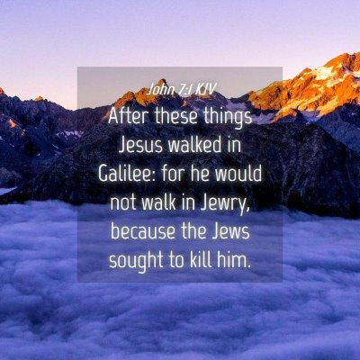 Picture 04 - John 7:1 KJV - After these things Jesus walked in Galilee: for - Bible Verse Picture