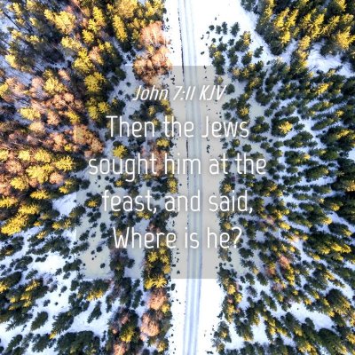 Picture 04 - John 7:11 KJV - Then the Jews sought him at the feast, and said, - Bible Verse Picture