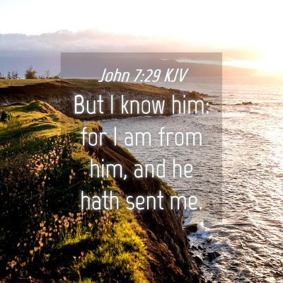 Picture 04 - John 7:29 KJV - But I know him: for I am from him, and he hath - Bible Verse Picture