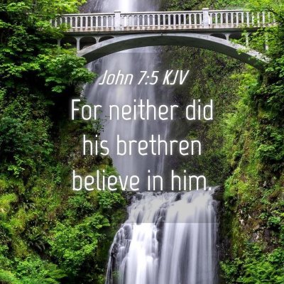 Picture 04 - John 7:5 KJV - For neither did his brethren believe in - Bible Verse Picture