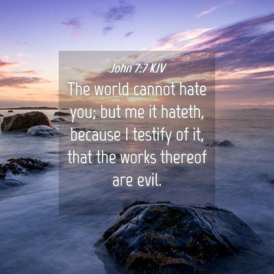Picture 04 - John 7:7 KJV - The world cannot hate you; but me it hateth, - Bible Verse Picture