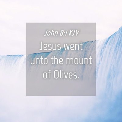 Picture 04 - John 8:1 KJV - Jesus went unto the mount of - Bible Verse Picture