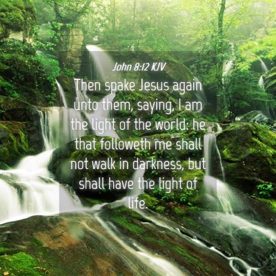 Picture 04 - John 8:12 KJV - Then spake Jesus again unto them, saying, I am - Bible Verse Picture