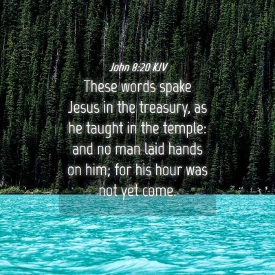 Picture 04 - John 8:20 KJV - These words spake Jesus in the treasury, as he - Bible Verse Picture