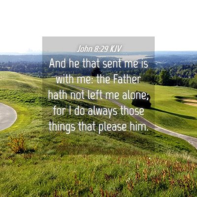 Picture 04 - John 8:29 KJV - And he that sent me is with me: the Father hath - Bible Verse Picture