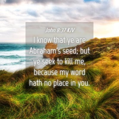Picture 04 - John 8:37 KJV - I know that ye are Abraham's seed; but ye seek to - Bible Verse Picture