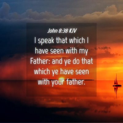Picture 04 - John 8:38 KJV - I speak that which I have seen with my Father: - Bible Verse Picture