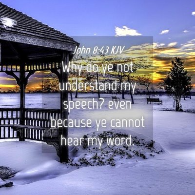 Picture 04 - John 8:43 KJV - Why do ye not understand my speech? even because - Bible Verse Picture