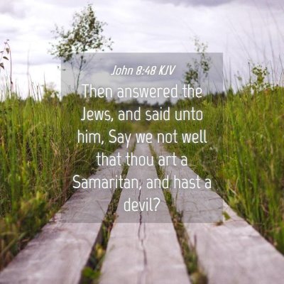 Picture 04 - John 8:48 KJV - Then answered the Jews, and said unto him, Say we - Bible Verse Picture