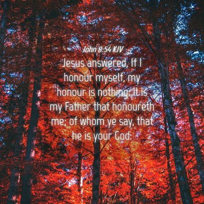 Picture 04 - John 8:54 KJV - Jesus answered, If I honour myself, my honour is - Bible Verse Picture