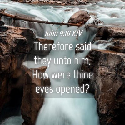 Picture 04 - John 9:10 KJV - Therefore said they unto him, How were thine eyes - Bible Verse Picture