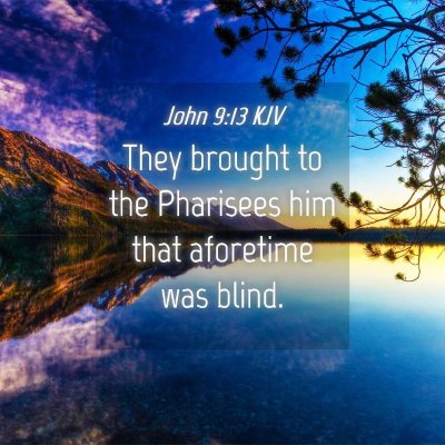Picture 04 - John 9:13 KJV - They brought to the Pharisees him that aforetime - Bible Verse Picture