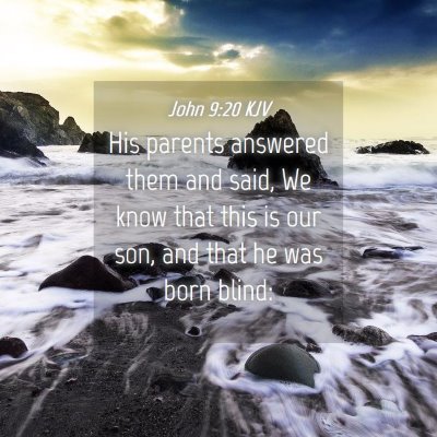 Picture 04 - John 9:20 KJV - His parents answered them and said, We know that - Bible Verse Picture