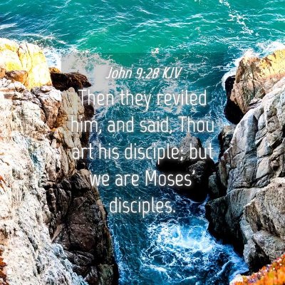 Picture 04 - John 9:28 KJV - Then they reviled him, and said, Thou art his - Bible Verse Picture