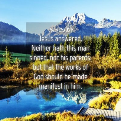 Picture 04 - John 9:3 KJV - Jesus answered, Neither hath this man sinned, nor - Bible Verse Picture