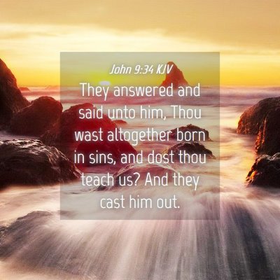 Picture 04 - John 9:34 KJV - They answered and said unto him, Thou wast - Bible Verse Picture