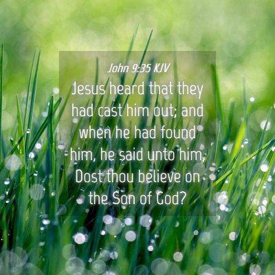 Picture 04 - John 9:35 KJV - Jesus heard that they had cast him out; and when - Bible Verse Picture