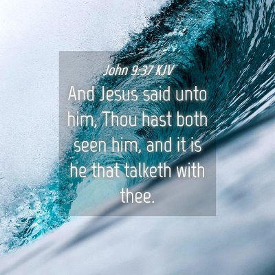 Picture 04 - John 9:37 KJV - And Jesus said unto him, Thou hast both seen him, - Bible Verse Picture