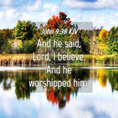 Picture 04 - John 9:38 KJV - And he said, Lord, I believe. And he worshipped - Bible Verse Picture