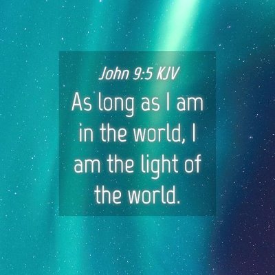 Picture 04 - John 9:5 KJV - As long as I am in the world, I am the light of - Bible Verse Picture