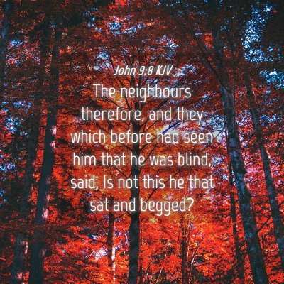 Picture 04 - John 9:8 KJV - The neighbours therefore, and they which before - Bible Verse Picture