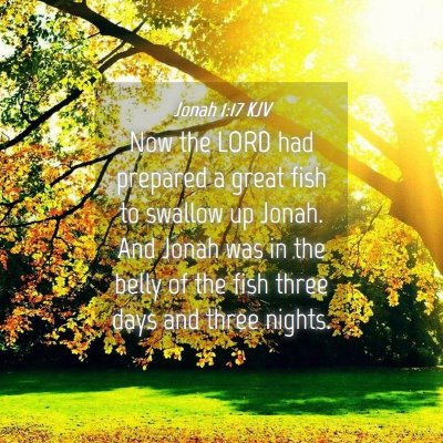 Picture 04 - Jonah 1:17 KJV - Now the LORD had prepared a great fish to swallow - Bible Verse Picture