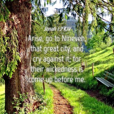 Picture 04 - Jonah 1:2 KJV - Arise, go to Nineveh, that great city, and cry - Bible Verse Picture