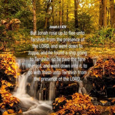 Picture 04 - Jonah 1:3 KJV - But Jonah rose up to flee unto Tarshish from the - Bible Verse Picture