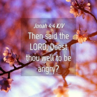 Picture 04 - Jonah 4:4 KJV - Then said the LORD, Doest thou well to be - Bible Verse Picture