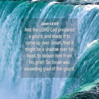 Picture 04 - Jonah 4:6 KJV - And the LORD God prepared a gourd, and made it to - Bible Verse Picture