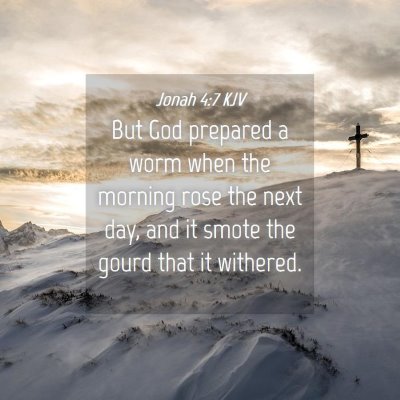 Picture 04 - Jonah 4:7 KJV - But God prepared a worm when the morning rose the - Bible Verse Picture