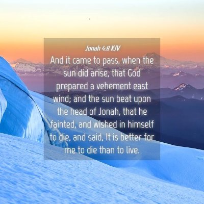 Picture 04 - Jonah 4:8 KJV - And it came to pass, when the sun did arise, that - Bible Verse Picture