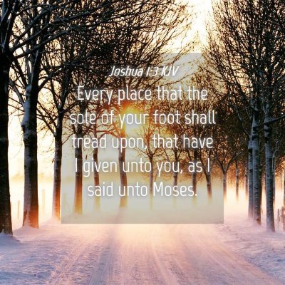 Picture 04 - Joshua 1:3 KJV - Every place that the sole of your foot shall - Bible Verse Picture