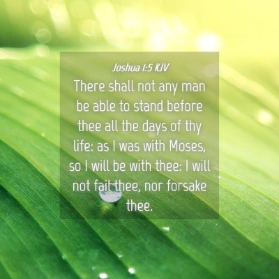 Picture 04 - Joshua 1:5 KJV - There shall not any man be able to stand before - Bible Verse Picture