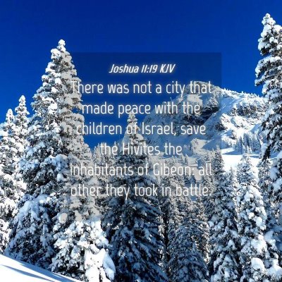 Picture 04 - Joshua 11:19 KJV - There was not a city that made peace with the - Bible Verse Picture