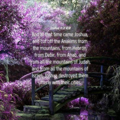 Picture 04 - Joshua 11:21 KJV - And at that time came Joshua, and cut off the - Bible Verse Picture