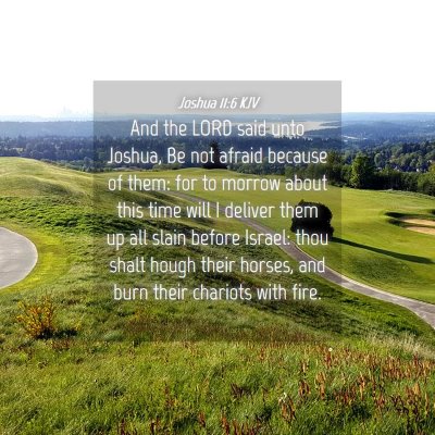 Picture 04 - Joshua 11:6 KJV - And the LORD said unto Joshua, Be not afraid - Bible Verse Picture