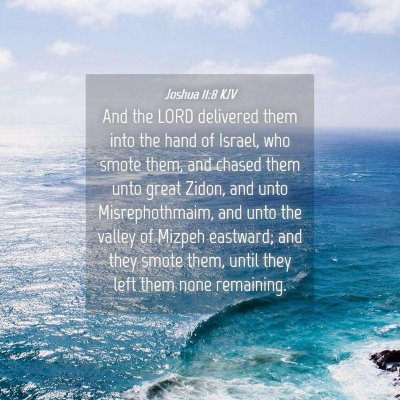 Picture 04 - Joshua 11:8 KJV - And the LORD delivered them into the hand of - Bible Verse Picture