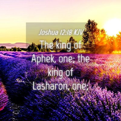 Picture 04 - Joshua 12:18 KJV - The king of Aphek, one; the king of Lasharon, - Bible Verse Picture