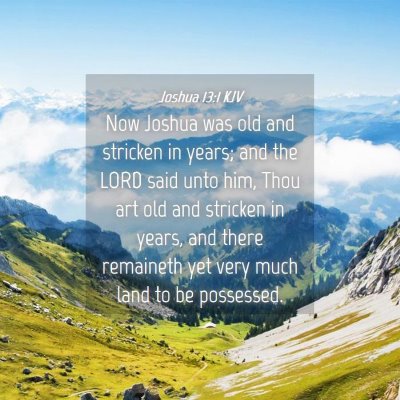 Picture 04 - Joshua 13:1 KJV - Now Joshua was old and stricken in years; and the - Bible Verse Picture