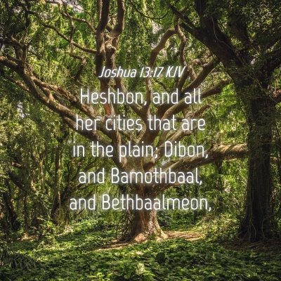 Picture 04 - Joshua 13:17 KJV - Heshbon, and all her cities that are in the - Bible Verse Picture