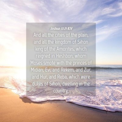 Picture 04 - Joshua 13:21 KJV - And all the cities of the plain, and all the - Bible Verse Picture
