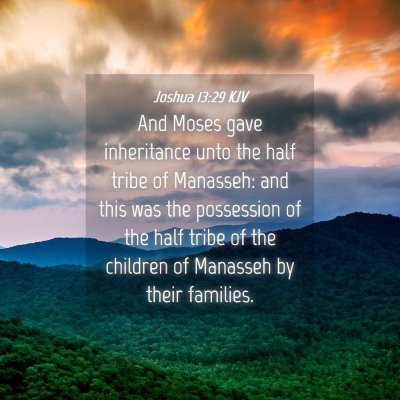 Picture 04 - Joshua 13:29 KJV - And Moses gave inheritance unto the half tribe of - Bible Verse Picture