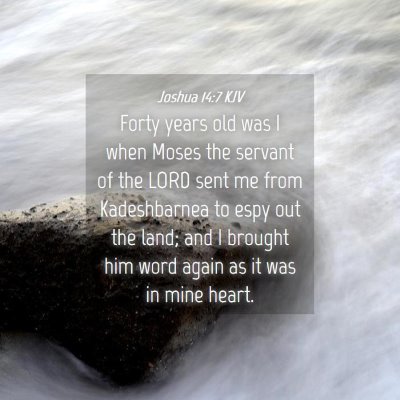 Picture 04 - Joshua 14:7 KJV - Forty years old was I when Moses the servant of - Bible Verse Picture