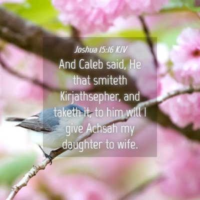 Picture 04 - Joshua 15:16 KJV - And Caleb said, He that smiteth Kirjathsepher, - Bible Verse Picture