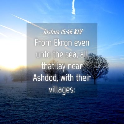 Picture 04 - Joshua 15:46 KJV - From Ekron even unto the sea, all that lay near - Bible Verse Picture