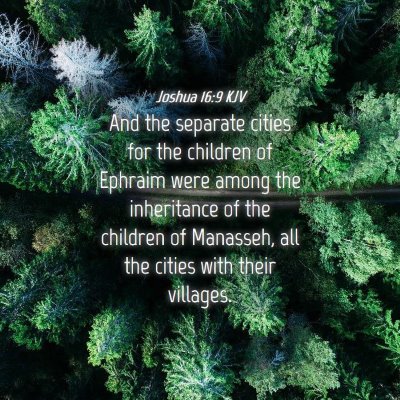Picture 04 - Joshua 16:9 KJV - And the separate cities for the children of - Bible Verse Picture